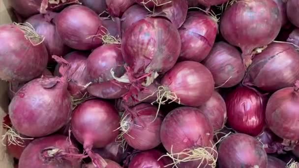 Zwiebeln Süß Rot Frische Reife Früchte Theke Marktladen Gesunde Mahlzeit — Stockvideo