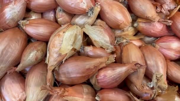 Shallot Onion Fresh Ripe Fruit Counter Market Shop Healthy Meal — Stock Video
