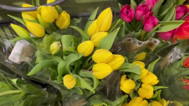 Tulpen Boeketten Van Bloemen Kleurrijke Geur Bloemenwinkel Showcase Markt — Stockvideo