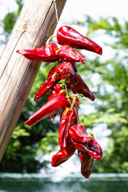 Espelette biberi kurutulmuş sebze baharatı yemek diyet atıştırmalığı masanın üzerinde fotokopi alanı arka plan kırsal üst görünüm 