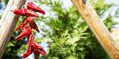Espelette biberi kurutulmuş sebze baharatı yemek diyet atıştırmalığı masanın üzerinde fotokopi alanı arka plan kırsal üst görünüm 