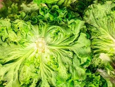 Marketin tezgahında salata salatası karışık yeşil yapraklar sağlıklı yemek atıştırmalıkları fotokopi alanı arka planı 