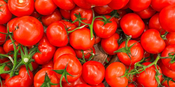 Tomato Green Branch Cherry Tomatoes Fruit Market Store Healthy Meal — Stock Photo, Image