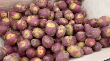  Patates çiğ sebze pazarı sağlıklı yemek diyeti aperatifleri masanın üzerinde fotokopi uzayı arka plan kırsal üst görüş keto ya da paleo diyet vejetaryen vejetaryen vejetaryen
