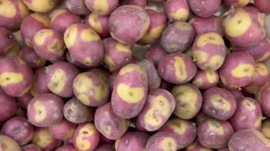  Patates çiğ sebze pazarı sağlıklı yemek diyeti aperatifleri masanın üzerinde fotokopi uzayı arka plan kırsal üst görüş keto ya da paleo diyet vejetaryen vejetaryen vejetaryen