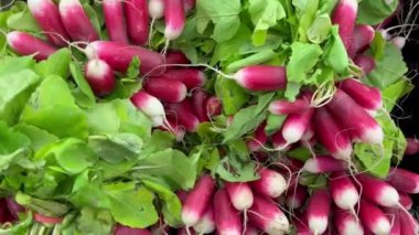 Bir grup sebze olgunlaşmış meyve tezgahı taze sağlıklı yemek atıştırmalığı diyeti masada fotokopi uzayı arka plan kırsal üst görüş keto veya paleo diyet vejetaryen veya vejetaryen vejetaryen