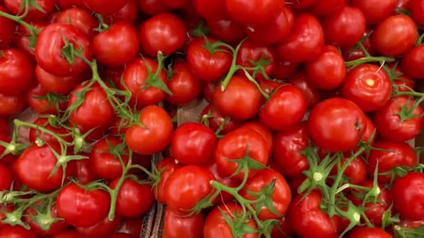 Tomate Verde Rama Cereza Tomates Fruta Mercado Tienda Comida Saludable — Vídeos de Stock