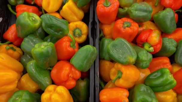 Paprika Farbe Frisch Gesunde Mahlzeit Nahrung Diät Snack Auf Dem — Stockvideo