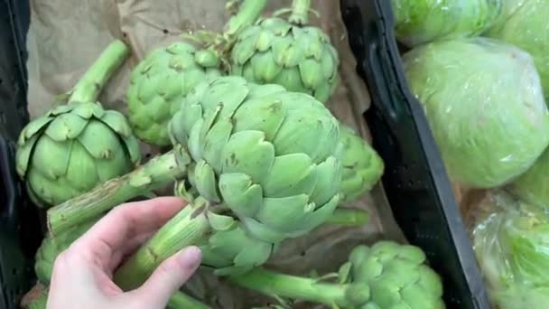 Alcachofra Frutas Vegetais Cruas Mercado Loja Refeição Saudável Comida Dieta — Vídeo de Stock