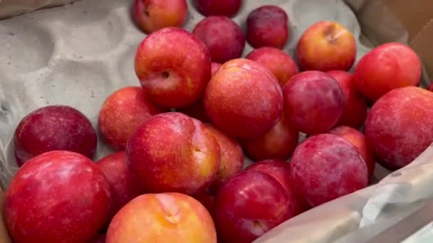 Śliwka Dojrzałe Owoce Rynek Licznik Świeże Zdrowe Posiłki Jedzenie Przekąski — Wideo stockowe