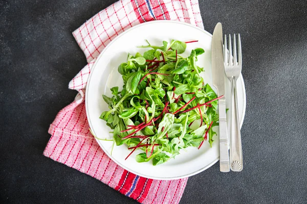 Green Salad Leaves Mix Beetroot Mung Bean Leaves Cress Lettuce — Stock Photo, Image