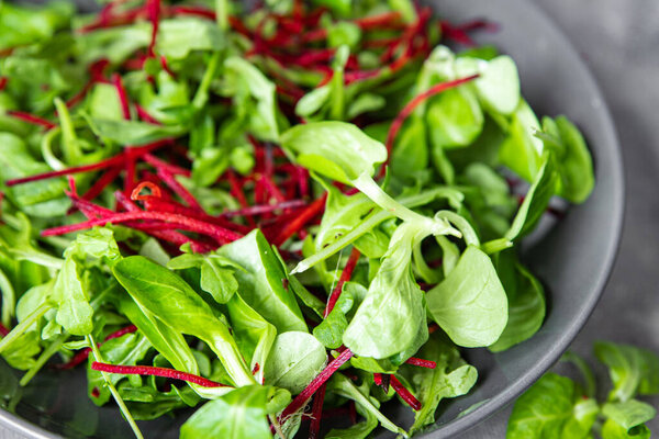 Green Salad Leaves Mix Beetroot Mung Bean Leaves Cress Lettuce Stock Picture