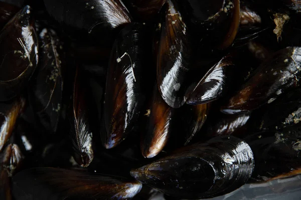 Muscheln Der Schale Meeresfrüchte Frisch Gesunde Mahlzeit Nahrung Snack Diät — Stockfoto