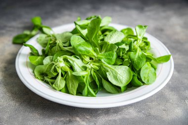 Makarna salatası yeşil yaprak mung fasulyesi marul taze sağlıklı yemek atıştırmalık diyet masa üzerinde fotokopi uzay yiyecekleri arka plan kırsal üst görüş keto veya paleo diyet vejetaryen veya vejetaryen gıda