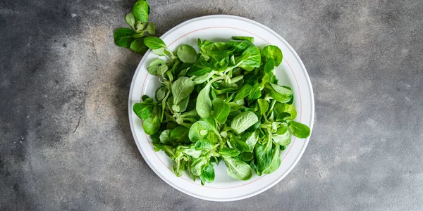Salată Mache Frunze Verzi Salată Verde Fasole Mung Proaspete Alimente — Fotografie, imagine de stoc