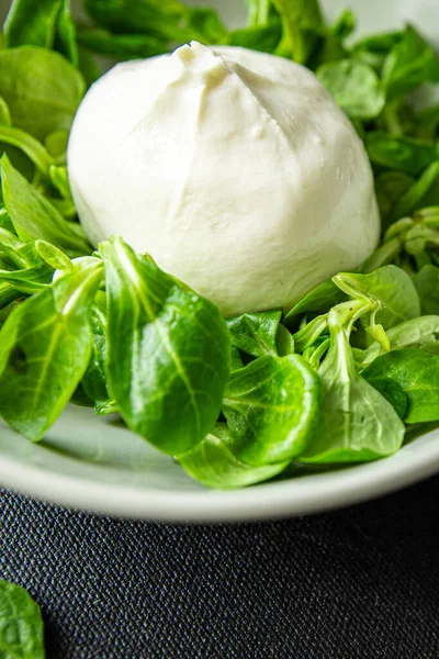 Buratta Salad Daun Hijau Campuran Makanan Sehat Makanan Ringan Atas — Stok Foto