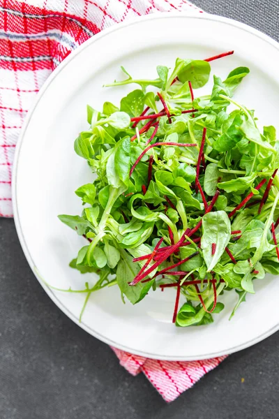 Salad Beet Green Leaves Mix Beetroot Mache Leaves Cress Fresh — Stock Photo, Image