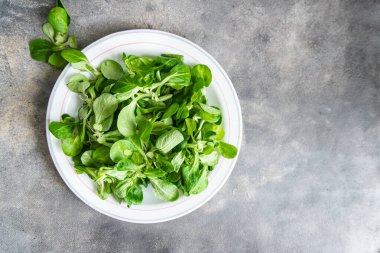 mache salad green corn leaves mung bean lettuce fresh healthy meal food snack diet on the table copy space food background keto or paleo diet veggie vegan or vegetarian food no meat