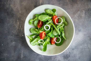 salata sebze domates, soğan, marul karışımı, mache yeşil sağlıklı yemek atıştırmalığı diyeti masada fotokopi uzayı arka plan kırsal manzarası  