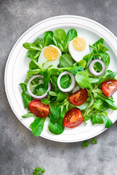 Egg Salad Vegetable Tomato Onion Leaves Lettuce Green Mix Petals — Stock fotografie