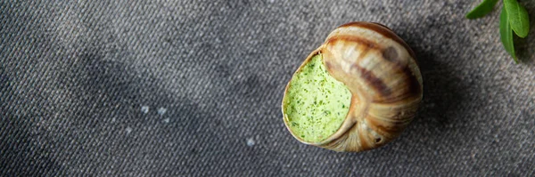 snails food green meal food snack diet on the table copy space food background