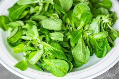 mache salad green corn leaves mung bean lettuce fresh meal food snack diet on the table copy space food background 