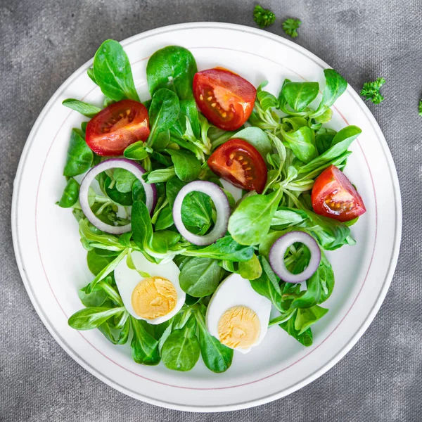 Egg Salad Vegetable Tomato Onion Leaves Lettuce Green Mix Fresh — Stock fotografie