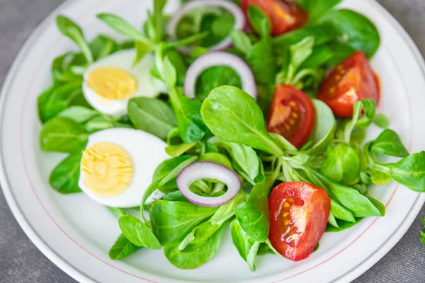 Green Salad Egg Vegetable Tomato Onion Leaves Lettuce Mix Fresh — Stock fotografie