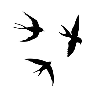 Yut. Beyaz arka planda siyah bir siluet. Kırlangıçların silueti. Uçan kuşun siyah hatları. Uçan kırlangıçlar. Dövme vektör çizimi beyaz arkaplanda izole edildi.
