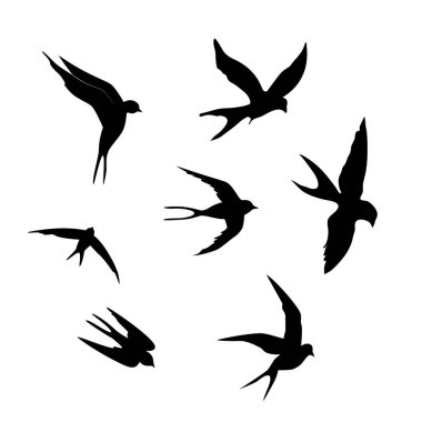 Kırlangıç. Beyaz arka planda siyah bir siluet. Kırlangıç sürüsünün silueti. Uçan kuşların siyah hatları. Uçan kırlangıçlar. Dövme vektör çizimi beyaz arkaplanda izole edildi.