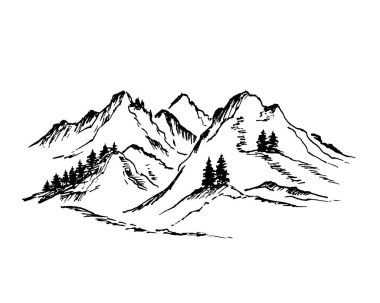 Beyaz arka planda çam ağaçları ve siyah manzaralı dağlar. Kurşun kalemle çizim yap. Rocky grafiksel olarak zirveye ulaşır.
