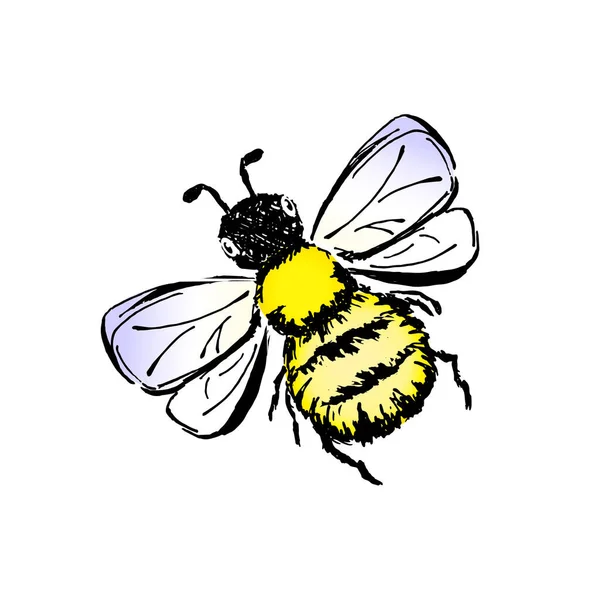 Bee Vektor Skiss Klottrad Ritning Frihandsfodrad Svart Kontur Och Färgfläckar — Stock vektor