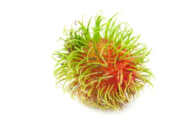 Rambutan kadar kapatın 