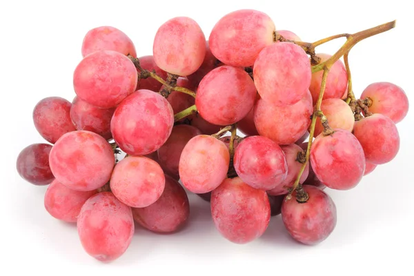 Close up fruta de uva — Fotografia de Stock