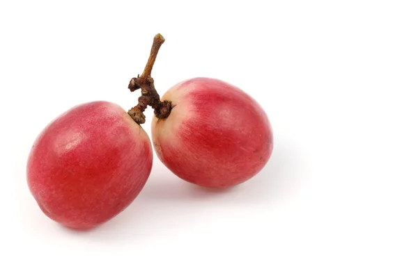 Üzüm meyve çifti kadar kapatın — Stok fotoğraf