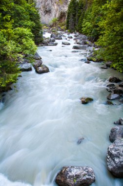 yaprakları ve kayalar ile dağ dere