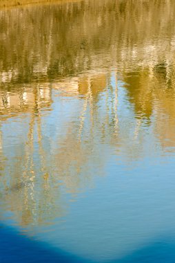 Tiber Nehri ağaçların yansıması ile