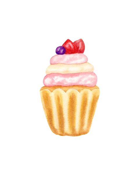 Watercolor cupcake, muffin with cream in three layers. Sponge cake with strawberries and blueberries. Homemade baking. Hand drawing. Isolated on white background. — Stock Photo, Image