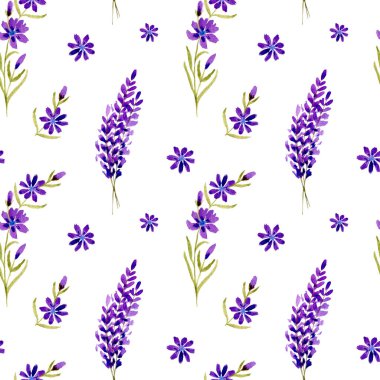 Lavanta çiçekli kusursuz suluboya deseni. Beyaz bir arka planda çiçek deseni. Dağ lavanta çiçekleri
