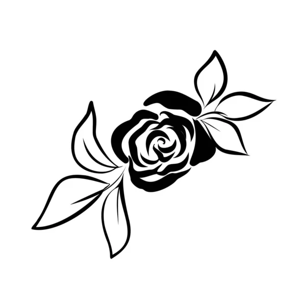 Роза. Розовый цветок. Векторная иллюстрация, значок. Черно-белый рисунок, нарисованный вручную. — стоковый вектор