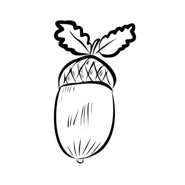 Meşe ağacı. Meşe yapraklı meşe palamudu. Vektör illüstrasyonu, simge. Siyah beyaz çizim, el çizimi. Klip sanatı.