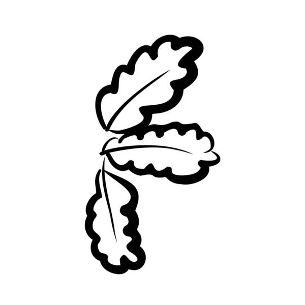 Дубовая ветка. Декоративная иллюстрация ветви. Ветка из дуба. Векторная иллюстрация, значок. Черно-белый рисунок, нарисованный вручную. — стоковый вектор