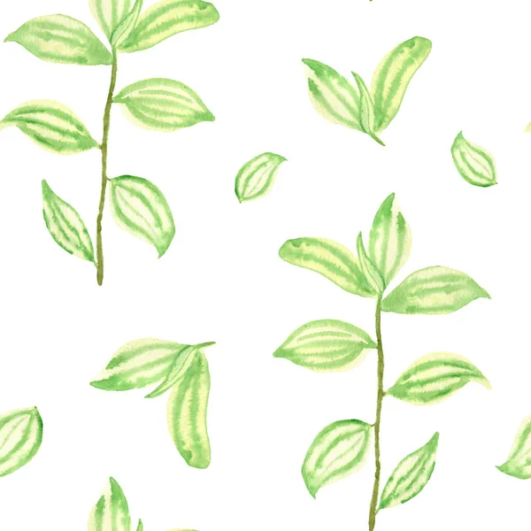 Πράσινα κλαδιά. Υδατογραφία αδιάλειπτη μοτίβο με κλαδιά δέντρων. Σχεδιασμός ελατηρίου για φορητούς υπολογιστές, γραφική ύλη και υφάσματα. — Φωτογραφία Αρχείου