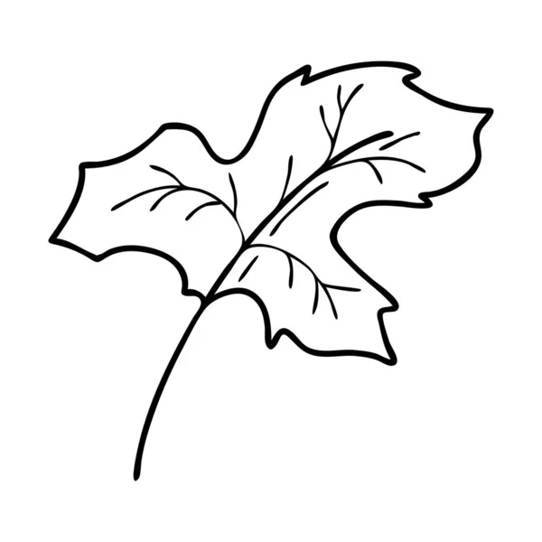 手描きのベクターイラストを残します。葉のアイコン。クリパート. — ストックベクタ