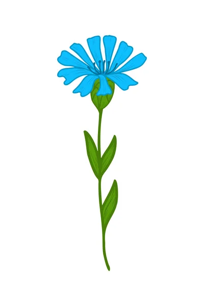 Синя кукурудзяна квітка, каракулі Векторні ілюстрації. Гілочка дикої кукурудзяної квітки. Кліпарт. Квіти намальовані вручну. Дизайн листівок, композицій та наклейок . — стоковий вектор