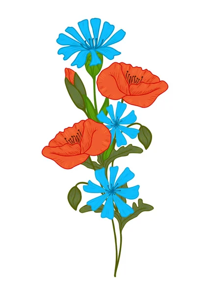 Flower Bouquet of Meadow Flowers. Composition of Poppy and Cornflower Flowers. Gift Flowers for Women. — Stock vektor