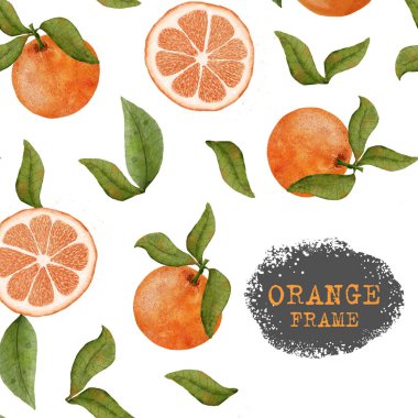 Suluboya portakal arkaplan. Greyfurt yapraklı ve dilimlenmiş portakal. Menüler, el ilanları, etiketler için yumuşak yaz arkaplanı