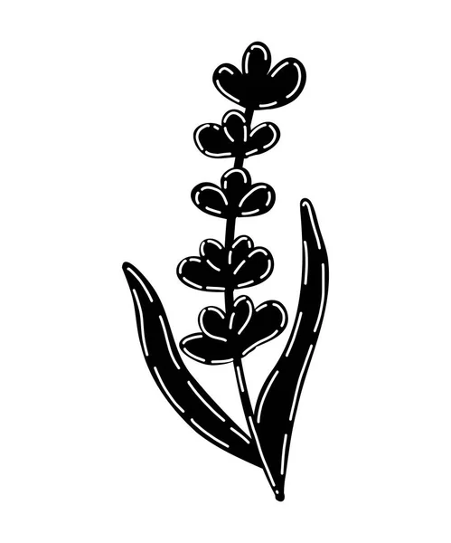 Lavendelblüten Symbol Trendy Silhouette Vektor Illustration Von Blume Für Websites — Stockvektor
