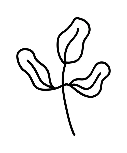 ベクトル ブランチ アイコン 木の枝 ツリーブランチの輪郭アイコン クリップアート ドードルスタイル 手描き 葉のある植物の花飾り枝 — ストックベクタ