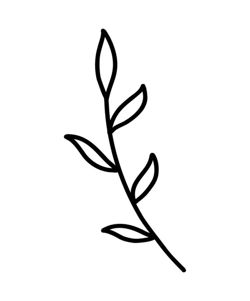 ベクトル ブランチ アイコン 木の枝 ツリーブランチの輪郭アイコン クリップアート ドードルスタイル 手描き 葉を持つ植物の花飾り枝 ローレル — ストックベクタ